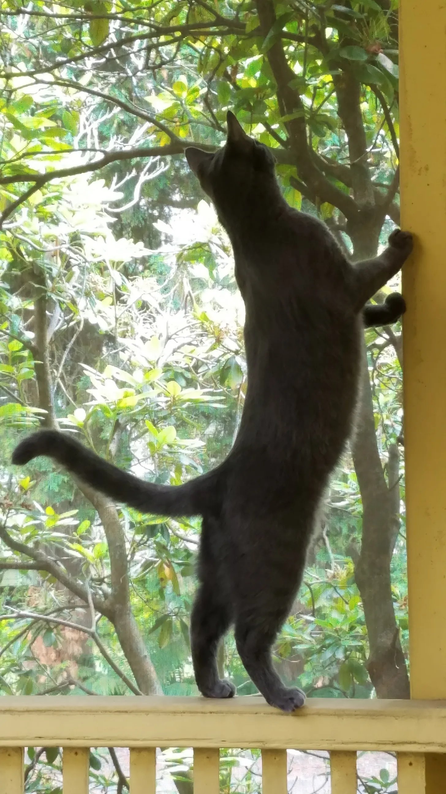 Lyrical writing requires self-discipline