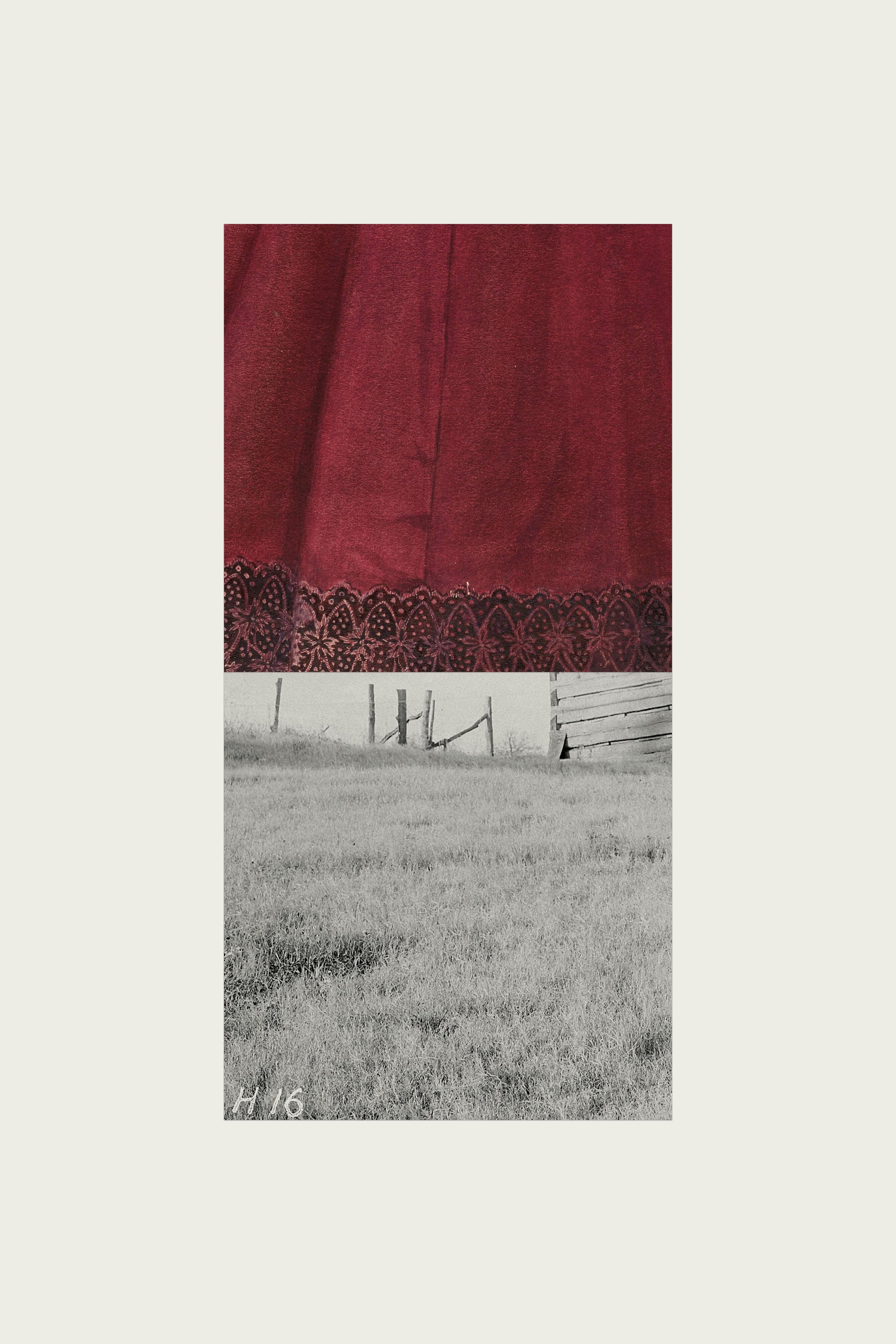 Nothing I Know Belongs To Me