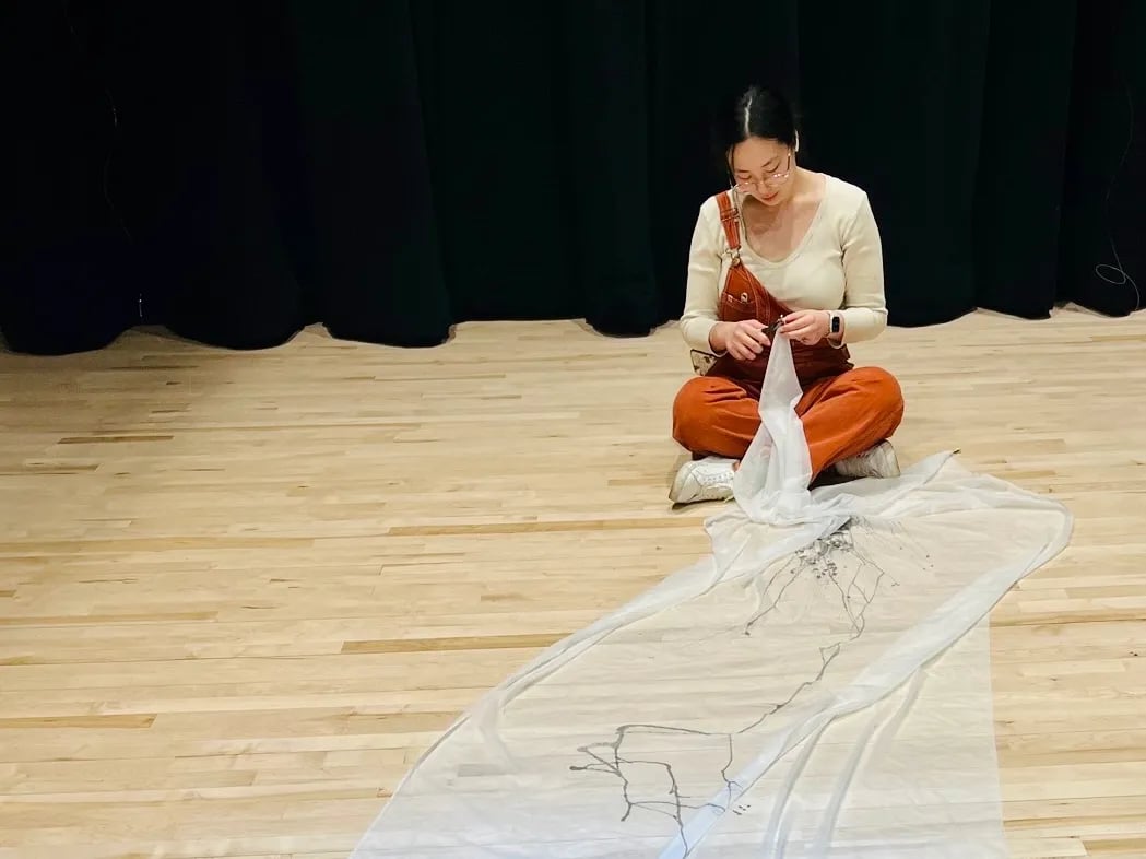 Author working with sheer fabric for her thesis. Author working with sheer fabric for her thesis.