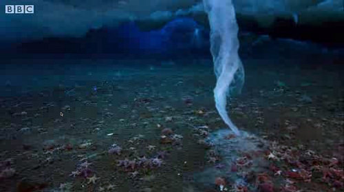 A bizarre underwater icicle (brinicle) [click to view]