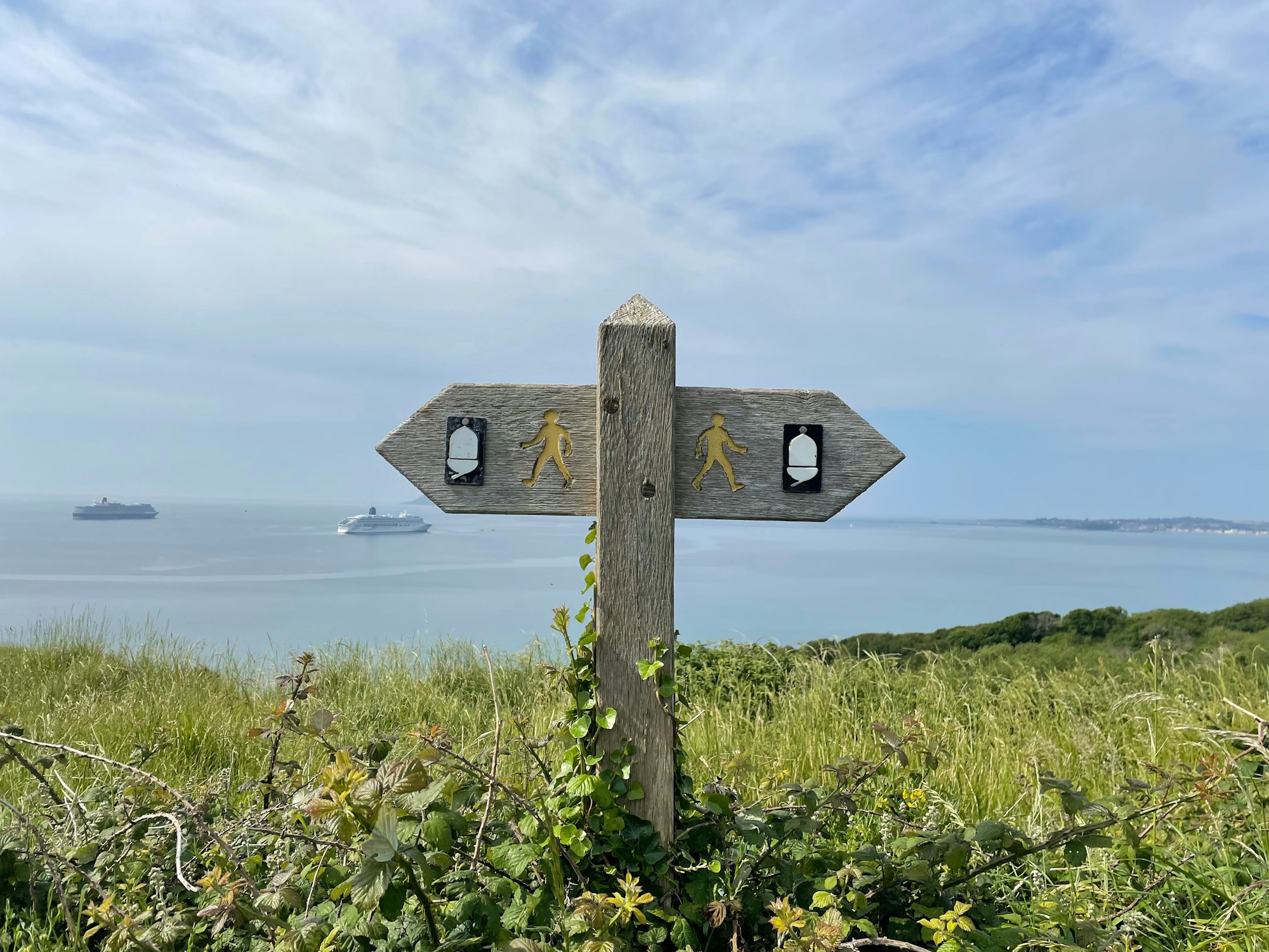 The Choice at Every Crossroad