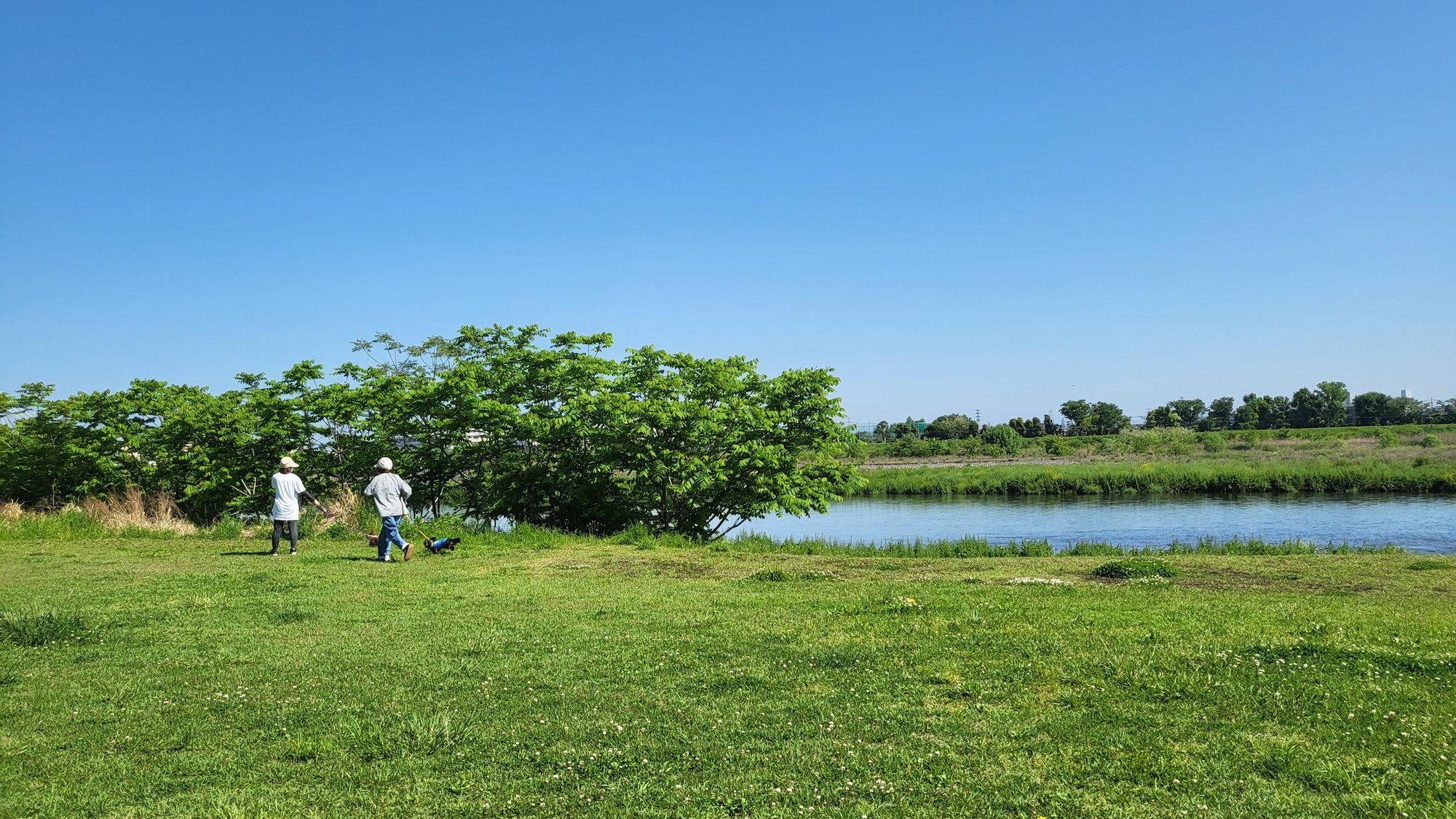 Living in the Relational Playworld