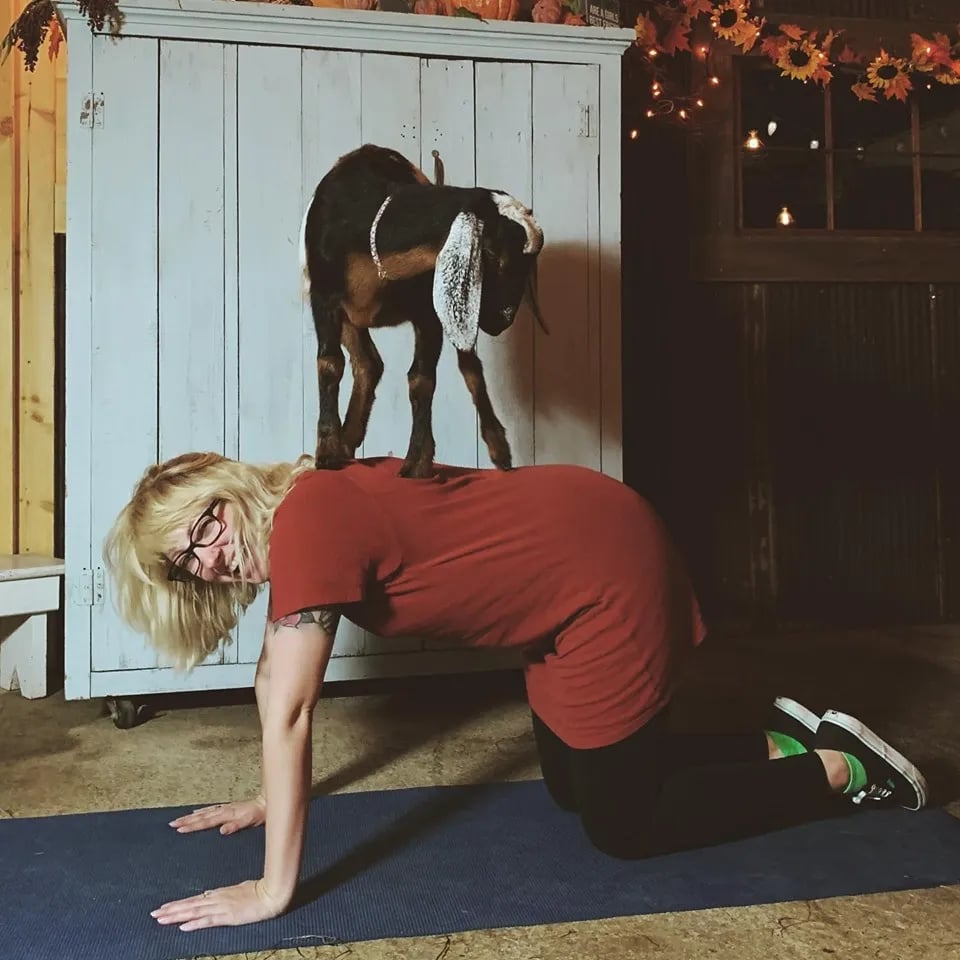 Whatever Floats Ur Goat