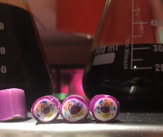 Cell Biology Candy