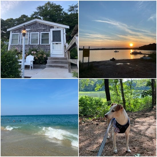 Four photos of a beach cottage, a sunset over a pond, the ocean, and a dog on a wooded trail.