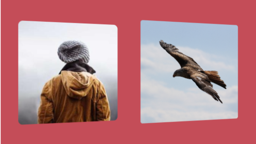 Shines, Perspective, And Rotations: Fancy CSS 3D Effects For Images — Smashing Magazine