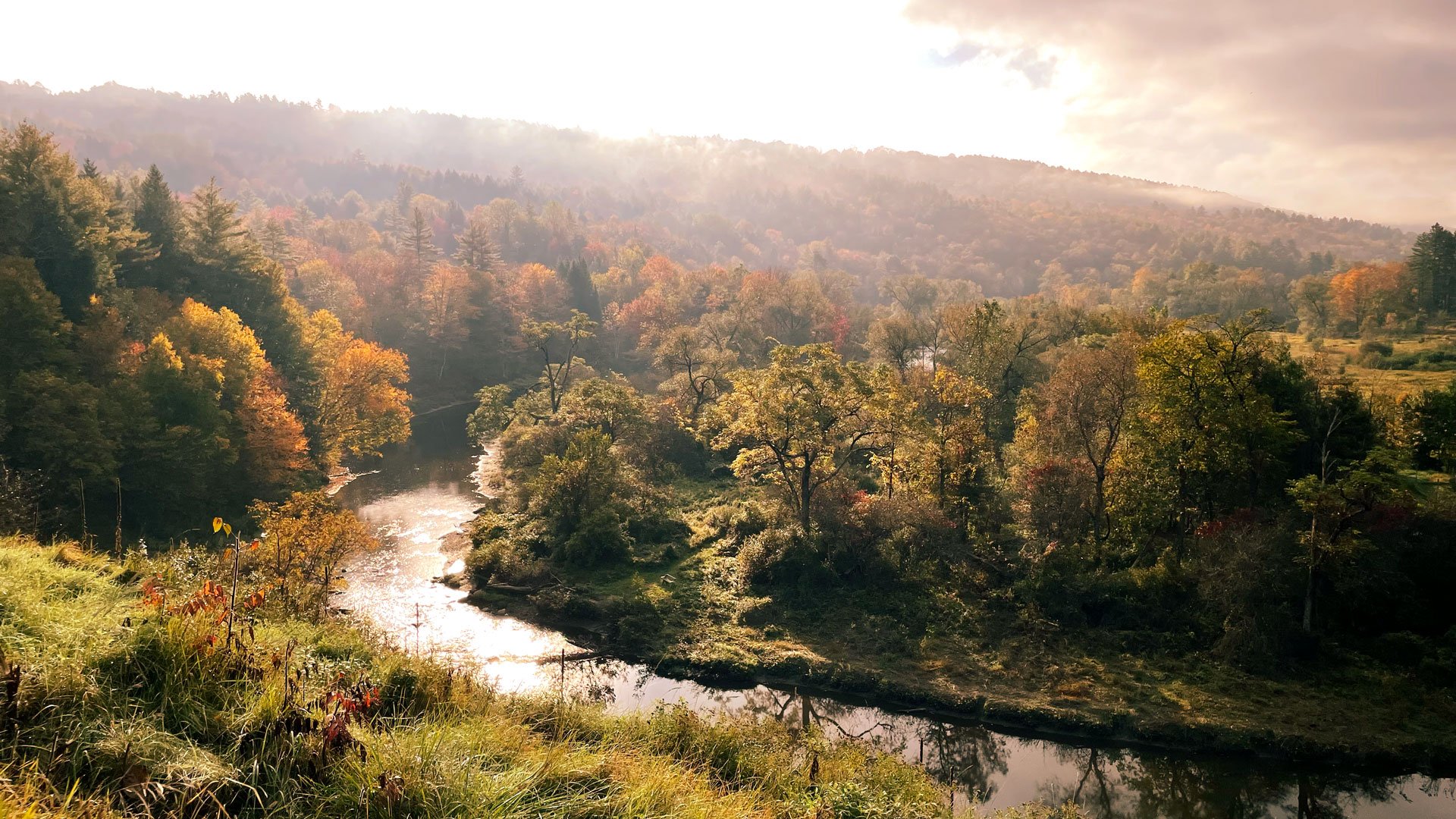 Looking down on the North Branch River and meadow from the road
