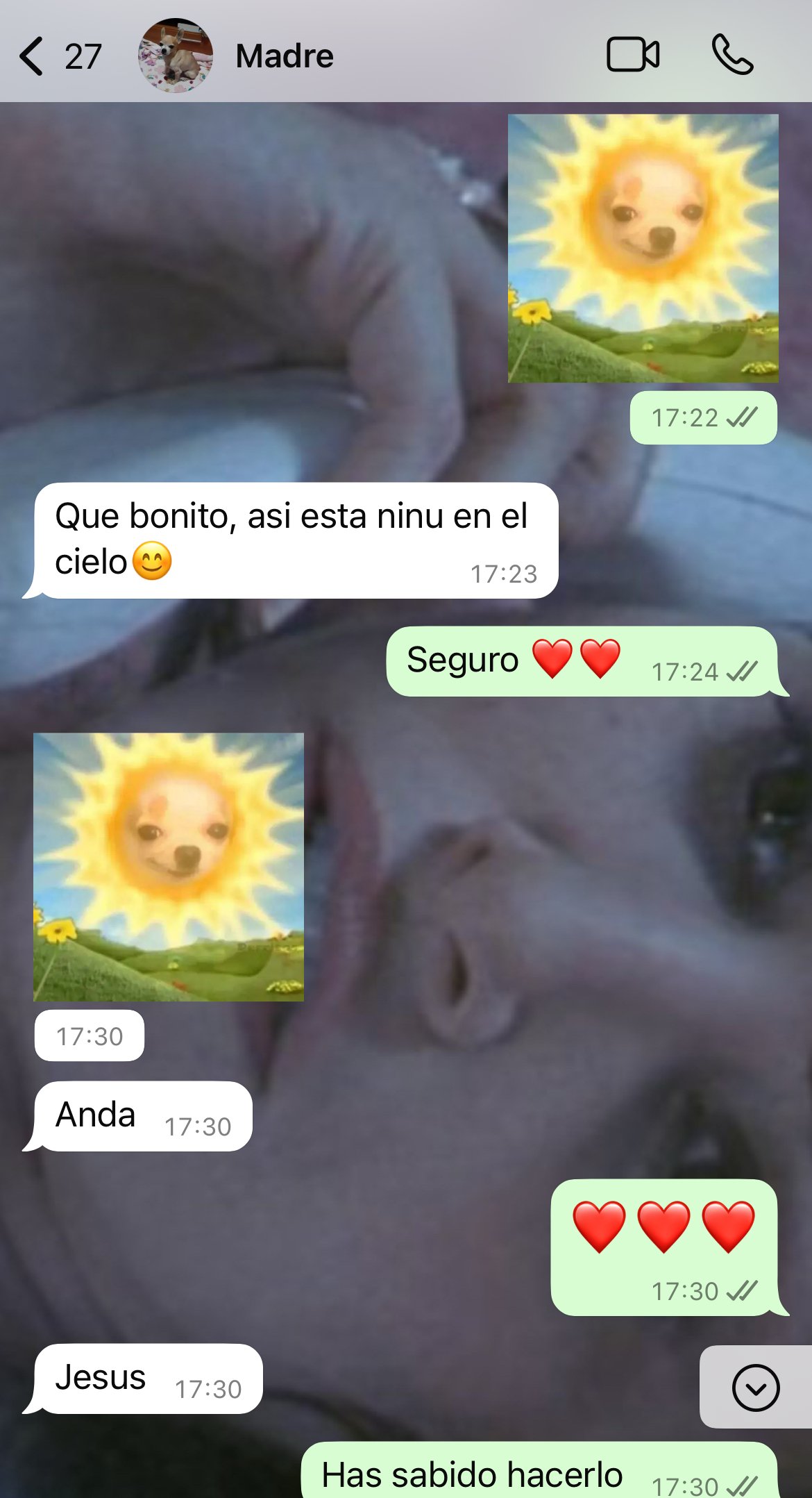 La muerte de las cosas