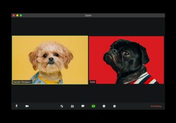 Intercepting Zoom's encrypted data with BPF