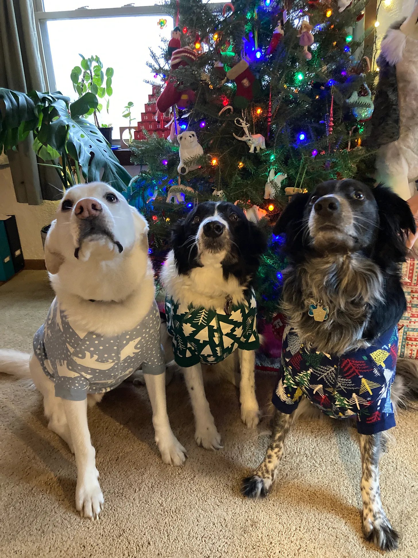 January 2024 Book Releases