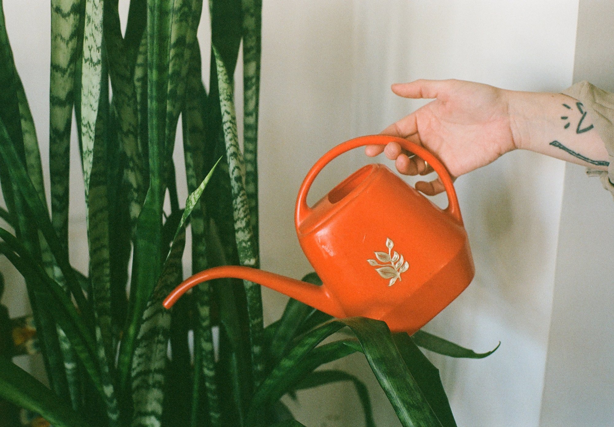 Friday Thread : Money and Business Resources 