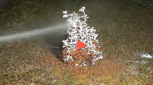 Casting a Fire Ant Colony [click for video]