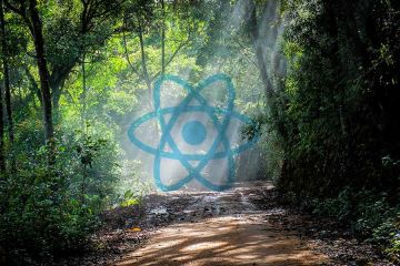 React Folder Structure in 5 Steps - RWieruch
