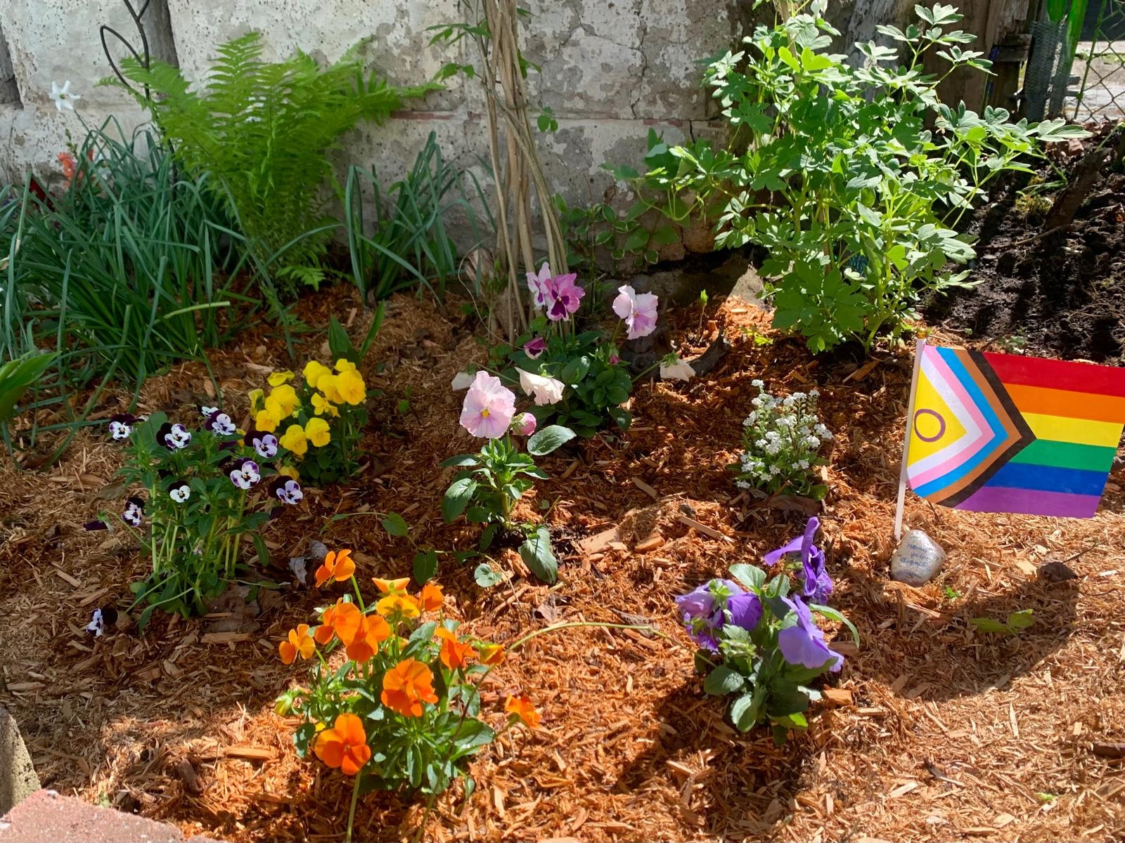 pansy city!