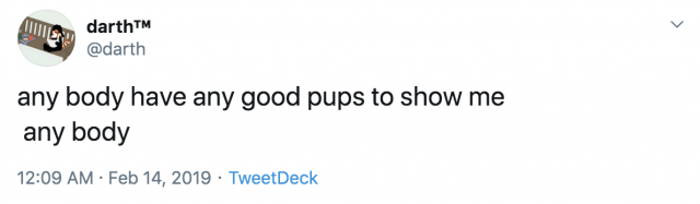 A tweet from @darth that says "any body have any good pups to show me any body".