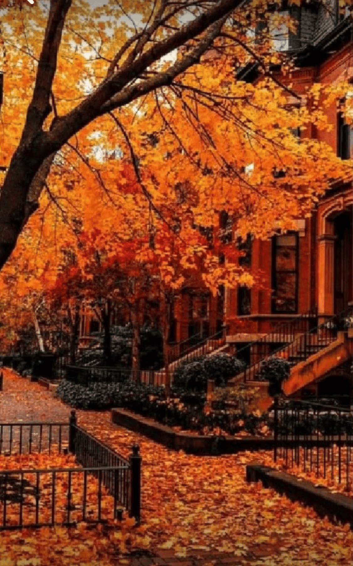 September, a.k.a. WHY ISN'T IT FALL YET