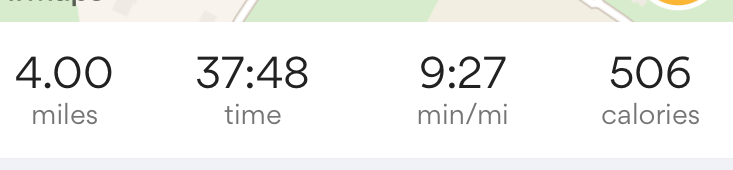 nisha\'s running stats
