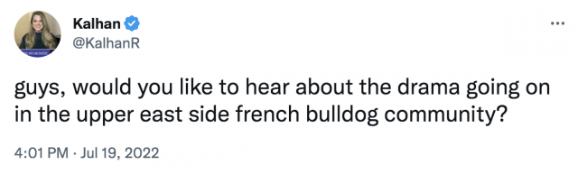 A tweet that says "guys, would you like to hear about the drama going on in the upper east side french bulldog community?"