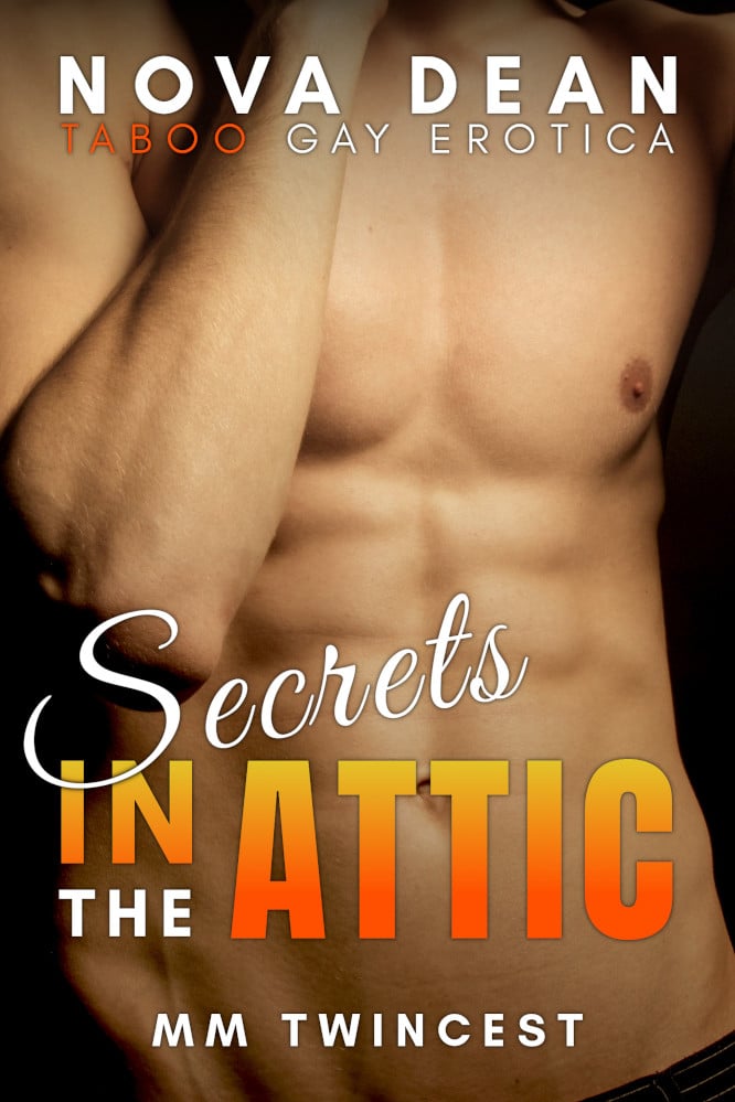 New Release: Secrets in the Attic