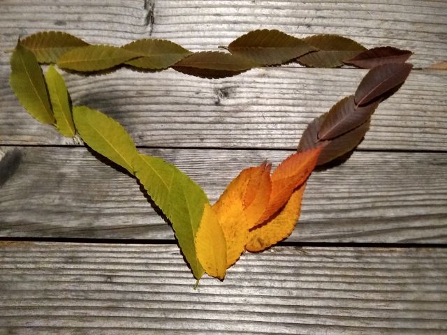 night puzzle