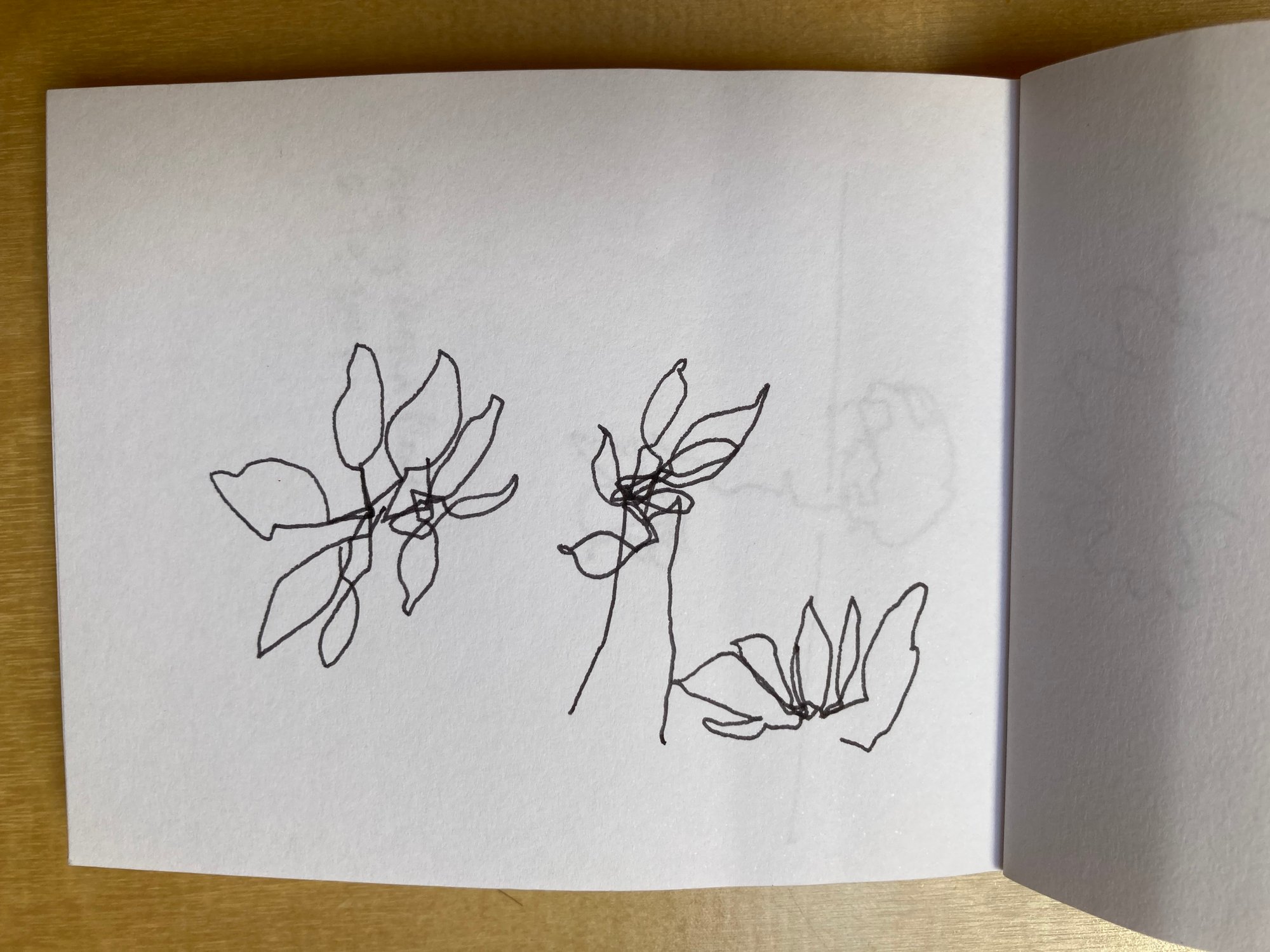 Sketchy Traveler January Drawing Time Reminder