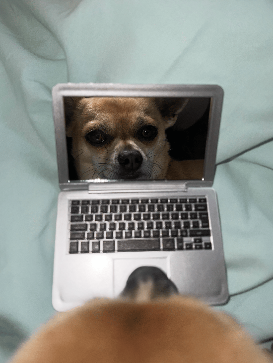 Cómo escribir una novela