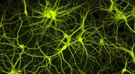 How to build a simple neural network in 9 lines of Python code