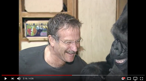 Robin Williams Meets Koko [click to view]