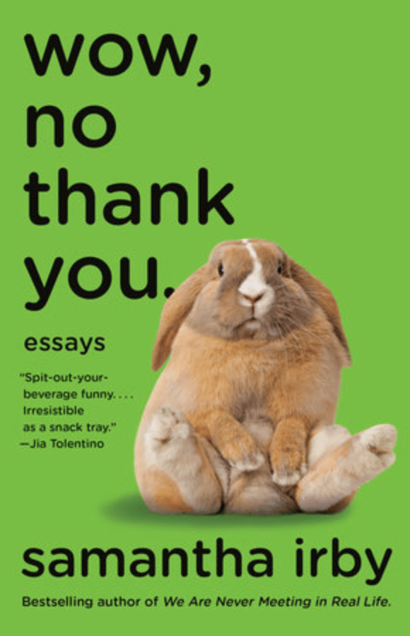 green book cover with brown bunny copy reads wow, no thank you 