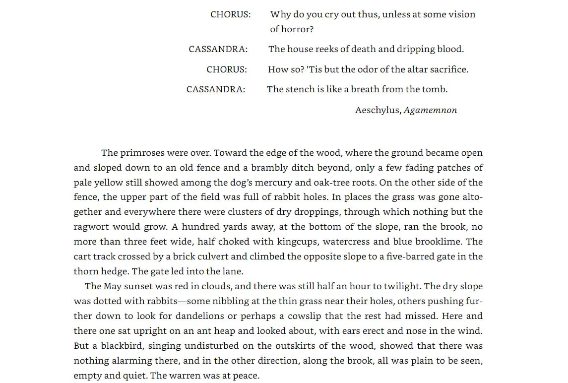 You were meant to be here... from the beginning?