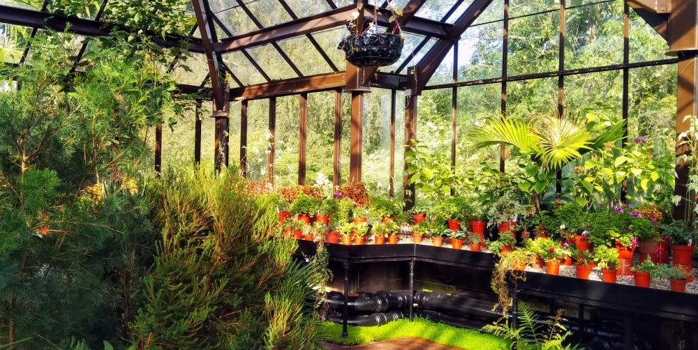 OZ #26 💌 Un interesado regalo veraniego