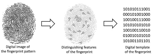 Fingerprint Reader Tech: Optical, Capacitive and Multispectral Fingerprint Reader Tech: Optical, Capacitive and Multispectral