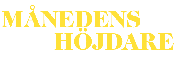 Nyhetsbrevet HUNDRE PROSENT av Thomas J.R. Marthinsen