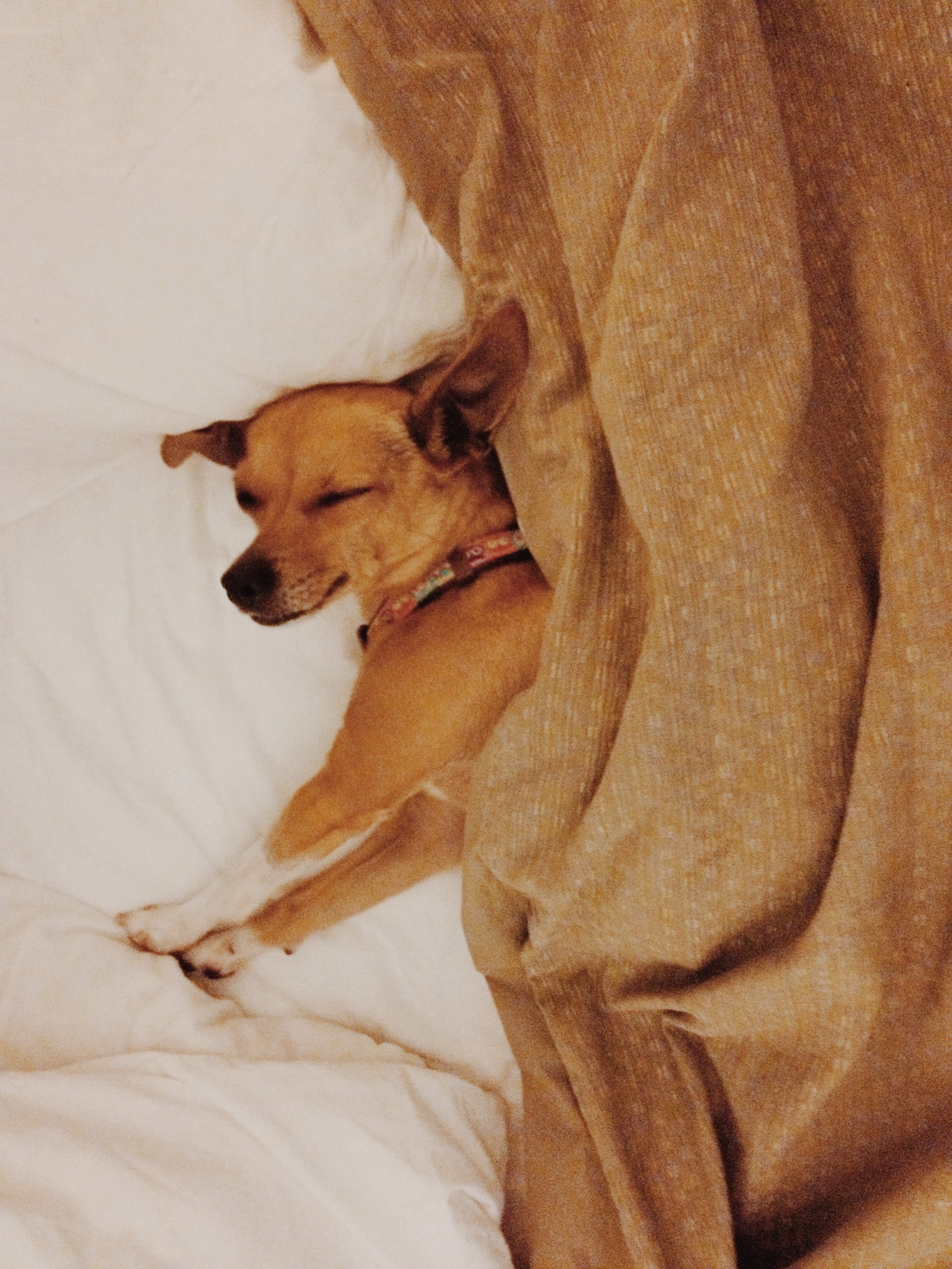 Goodbye and hello at (practically) the same time 