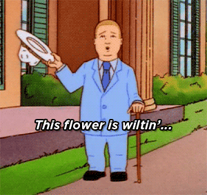 Animated image of Bobby from the TV show King Of The Hill dressed in a light blue suit, holding a white hat, and saying "This flower is wiltin'."