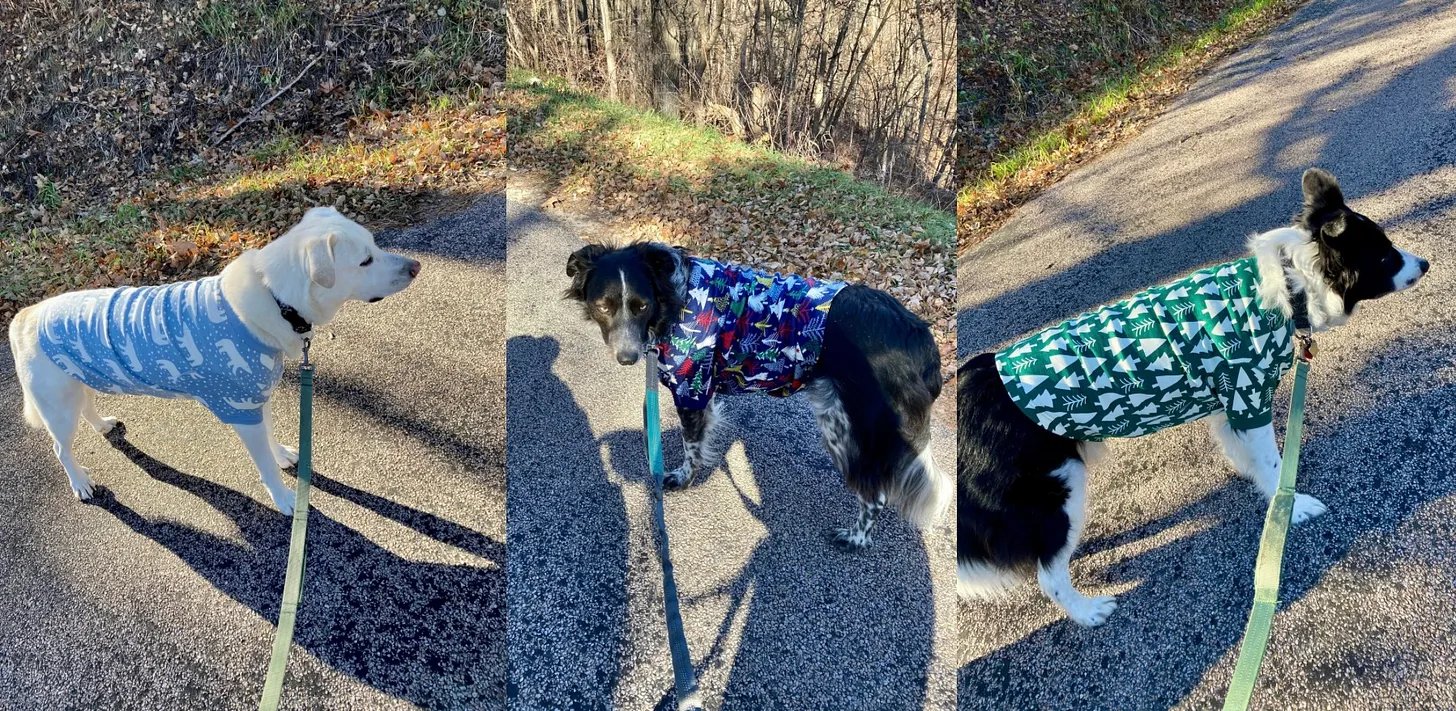 Recent Reads from the Mindful Library Vol. 25