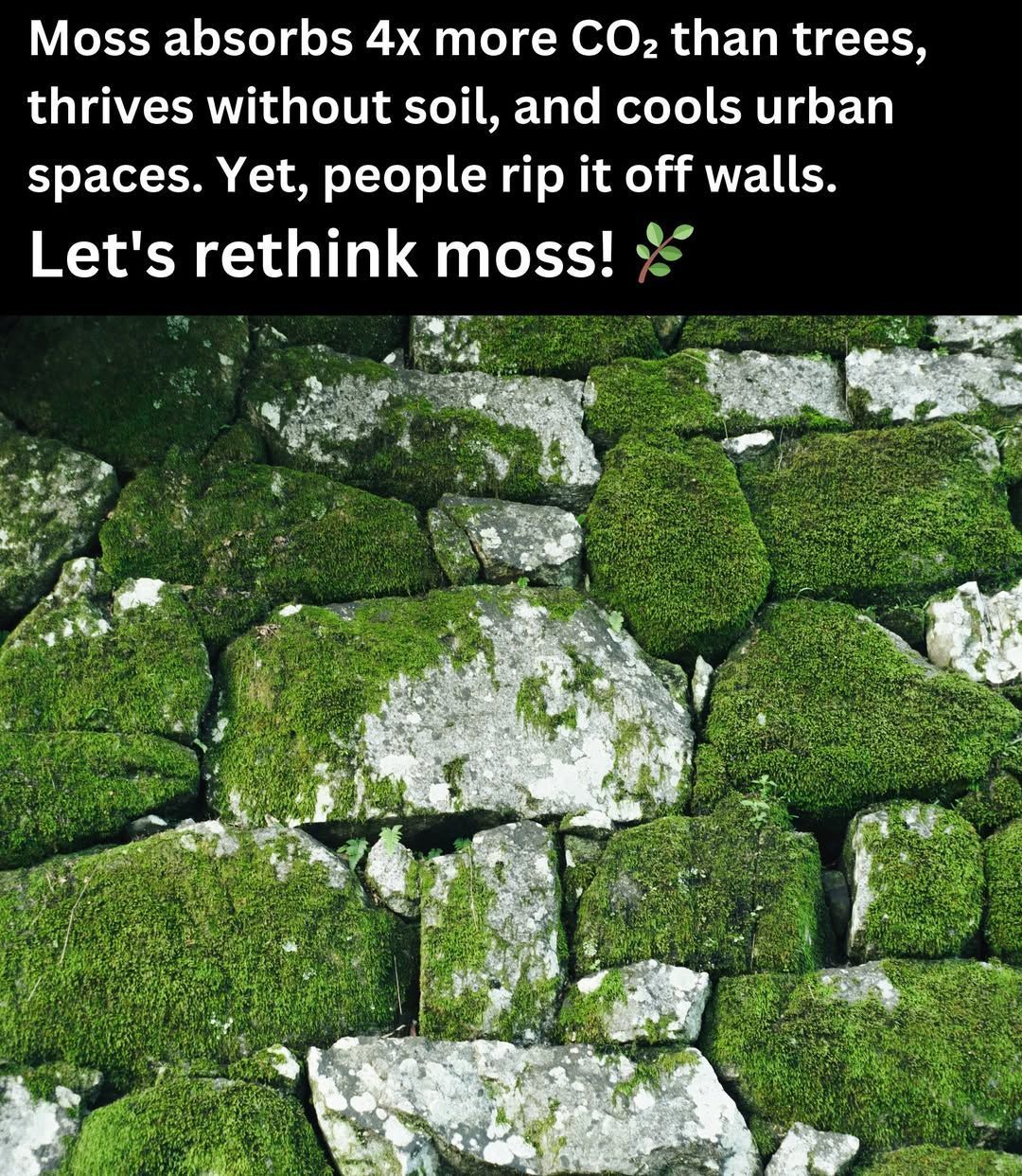 To love is to linger