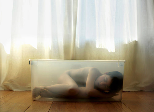 from Timothy Archibald's "Echolilia" series [click to view]
