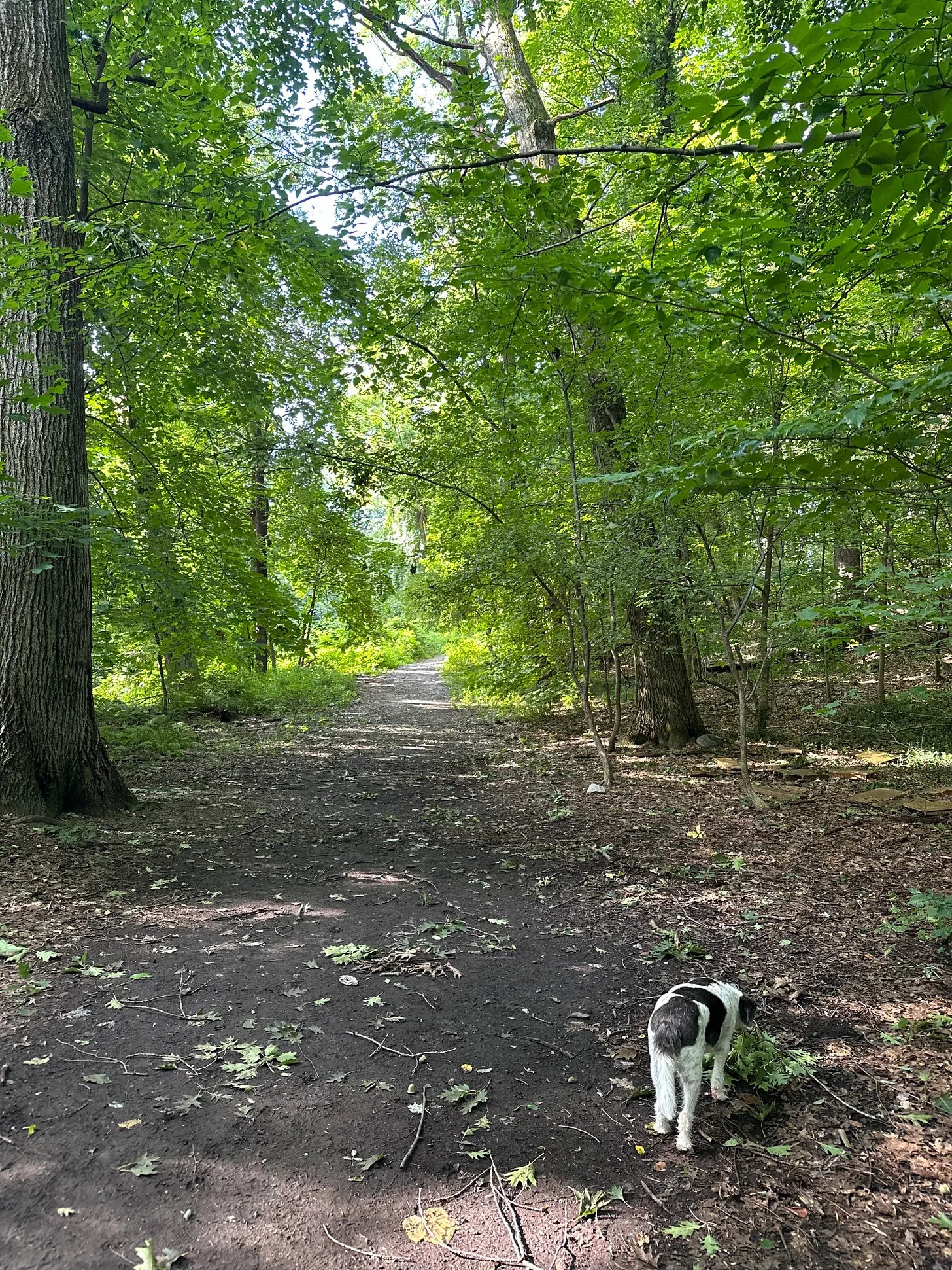 Reflections on a Week Away