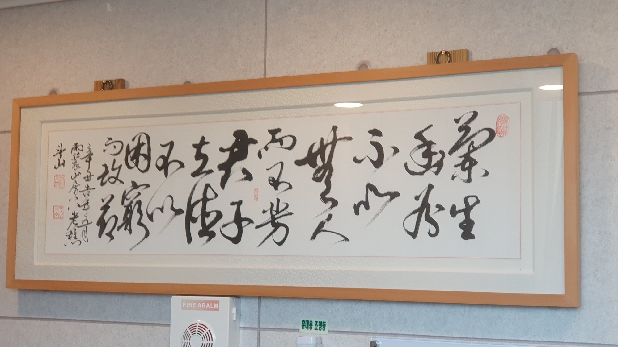 Just a bit of Chinese calligraphy