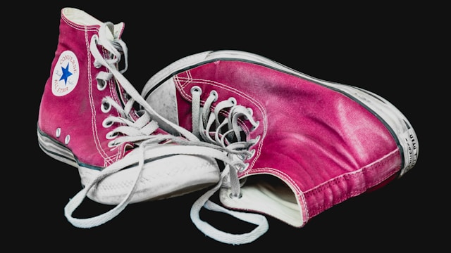Shoelace: A forward-thinking library of web components.