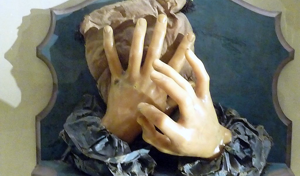 OZ #25 💌 Las anatomistas👂👀👅