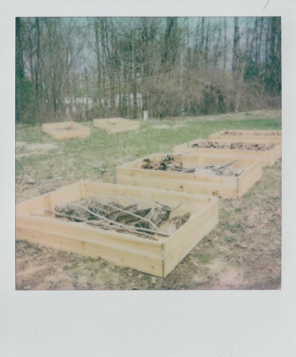 The dawn of the great garden experiment 