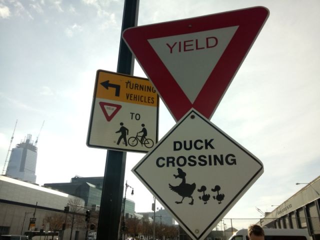 Yield - Duck Crossing