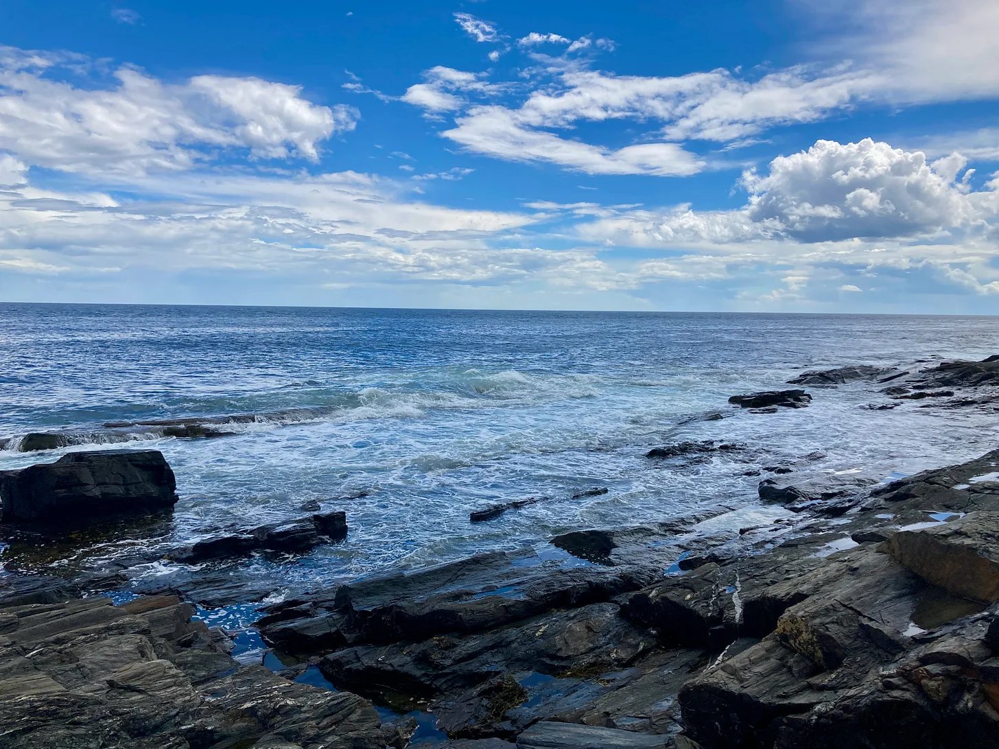 My Top Ten Books of Summer 2024