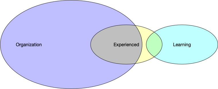 Your experience and learning tasks extrude from the organization's known skills.