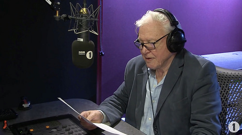 Sir David Attenborough narrates Adele's Hello [click to view video]
