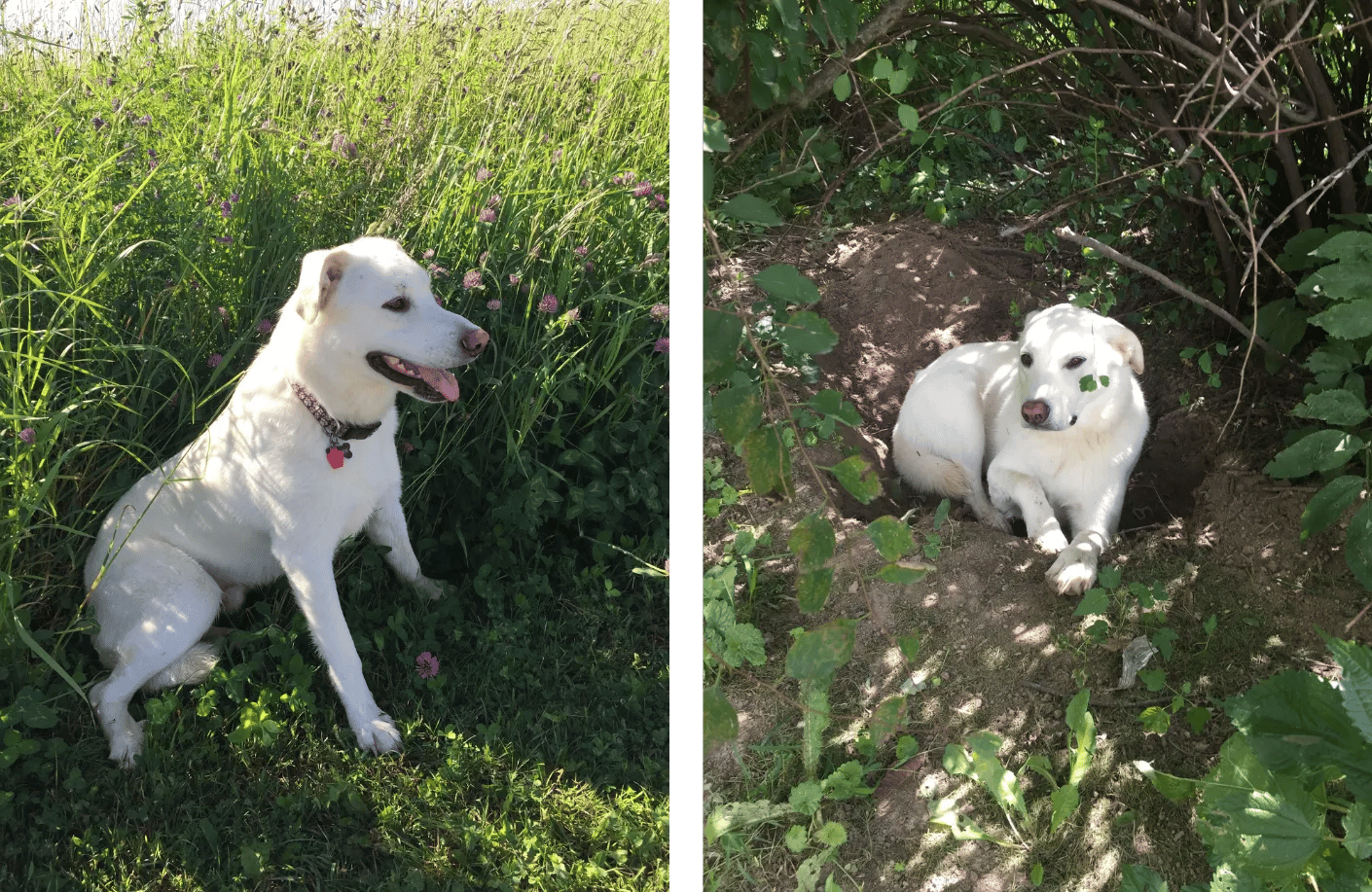 Recent Reads from the Mindful Library Vol. 26