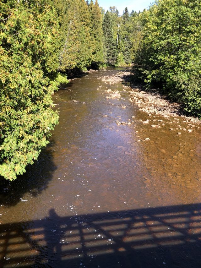 autumn scene of a shallow brown river lined with leafy trees a shadow of the author is captured across the bottom part of the scened captured from aa bridge