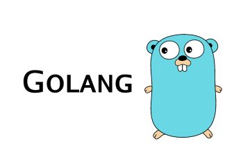 Learning Go — from zero to hero – freeCodeCamp.org